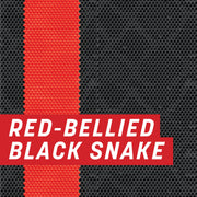 Red-Bellied Black Snake Full Wrap Kit